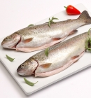 Trout Sliced