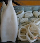 Ring Squid