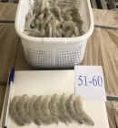 Shrimp