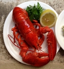 Lobster