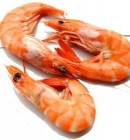 Jumbo shrimp