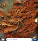 Crayfish