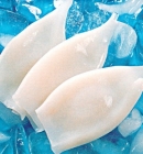 Tube of Calamari