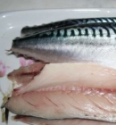 Mackerel fillet